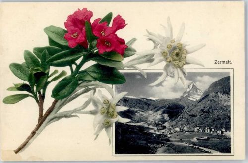 3920 Zermatt Lithographie Edelweiss Matterhorn