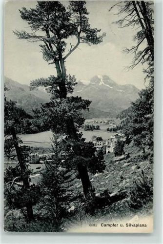 7513 Silvaplana 1908 - Campfer