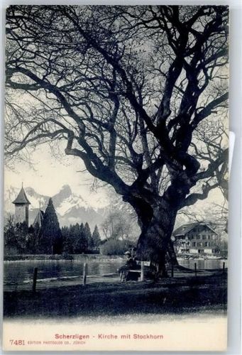 3600 Scherzligen Thun - Kirche, Baum, Stockhorn