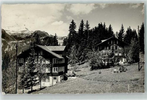3823 Wengen - Chalets Alpenblick und Bergheim