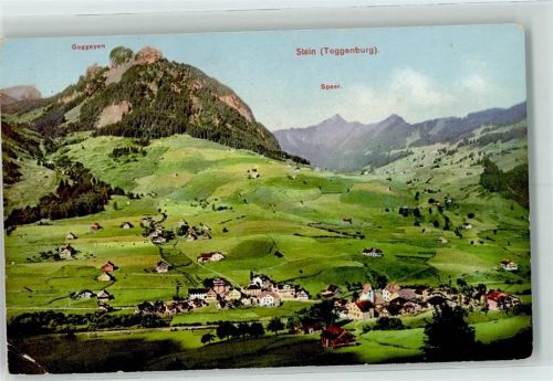 Stein SG Goggeyen Speer Künzli Gebrauchsspuren