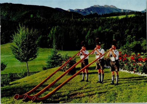 W8214 Bernau a. Chiemsee Drei Alphornbläser AK Alphorn 1970
