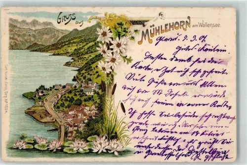 8874 Mühlehorn 1901