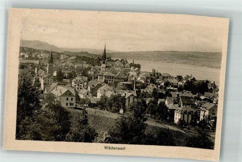 8820 Wädenswil 1913 Foto AK