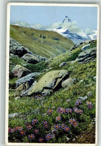 3920 Zermatt Foto AK Matterhorn Alpenaster Fluhalp Photochromie