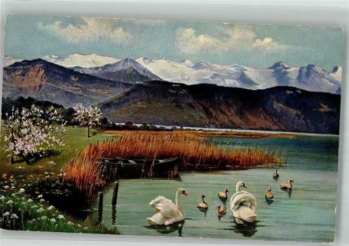 F.L. Cailler's Milch-Schokolade Schwäne auf einem See im Hochgebirge Schokolade Werbe AK