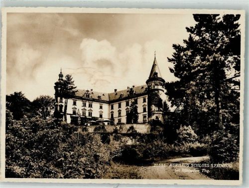 8536 Hüttwilen 1949 Foto AK Schloss Steinegg Kurhaus
