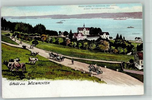 9405 Tobel AR Wienacht-Tobel 1909 Lithographie Pension Landegg Villa Seeblick