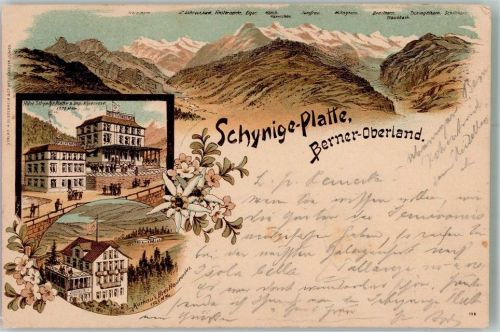 Schynige Platte 1897 Lithographie Hotel Schynige Platte Kurhaus Berner Oberland