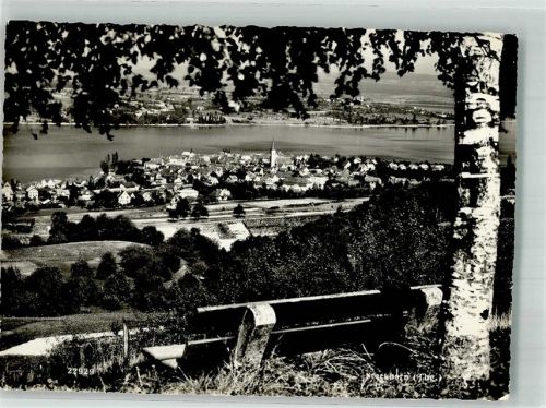 8266 Steckborn 1961 Foto AK