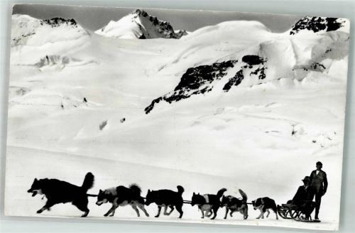 3801 Jungfraujoch Winter Hunde- Schlitten Polarhunde Aletschgletscher