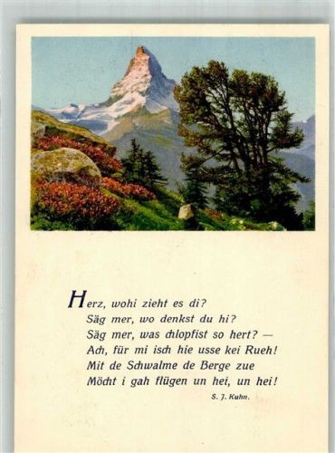 Mont Cervin Foto AK Matterhorn Gedicht Kuhn