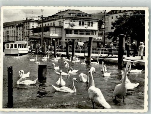 9400 Rorschach 1959 Foto AK Hafen Schwäne Bodensee
