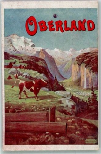 3823 Wengen Foto AK Oberland Kuh