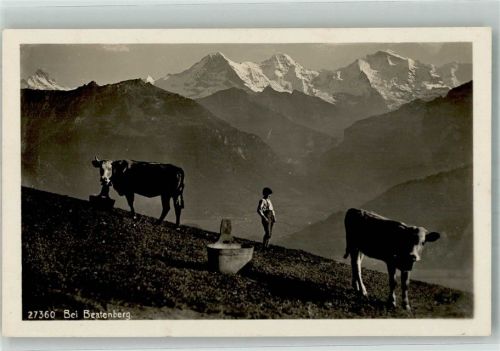 3803 Beatenberg - Hirte Kühe