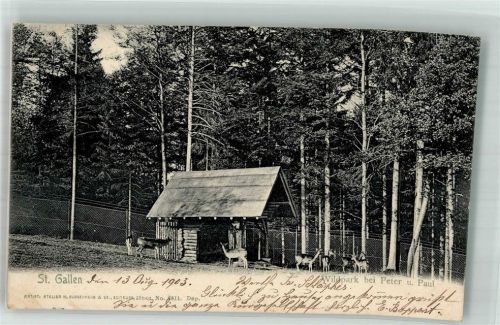 9000 St. Gallen S. Gallo 1903 Foto AK Wilpark bei Peter und Paul