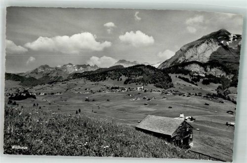 9658 Wildhaus 1954 Foto AK