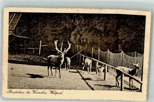 8400 Winterthur 1915 Foto AK Wildpark Bruderhaus