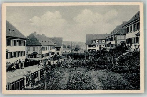 8000 Zürich Foto AK Kolonie Wollishofen Balberstrasse Allg.Baugenossenschaft Zürich