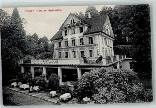 6353 Hertenstein 1910 Foto AK Pension Hertenstein