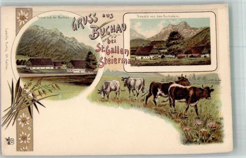9000 St. Gallen S. Gallo Lithographie Tanner auf der Buchau Sewald mit Buchstein