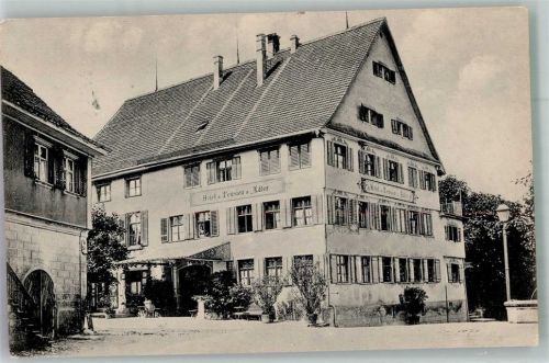 8272 Ermatingen 1916 Foto AK Hotel Pension zum Adler