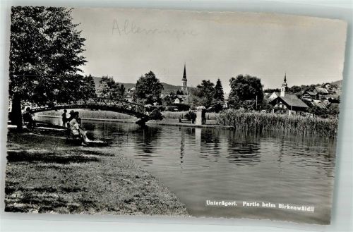 6314 Unterägeri Foto AK Partie beim Birkenwäldli