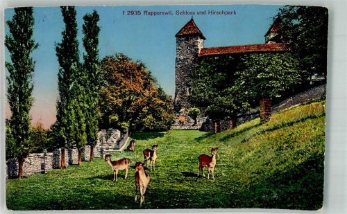 8640 Rapperswil SG 1933 Foto AK Schloss Hirschpark