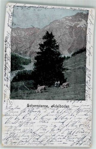 3715 Adelboden BE 1903 Foto AK Schermtanne