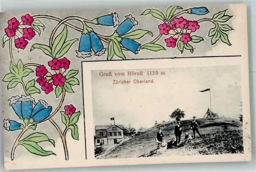 8497 Fischenthal 1916 Foto AK Gruss vom Hörnli Kulm Hotel