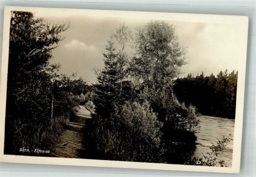 3000 Bern Berne 1933 Foto AK Elfenau