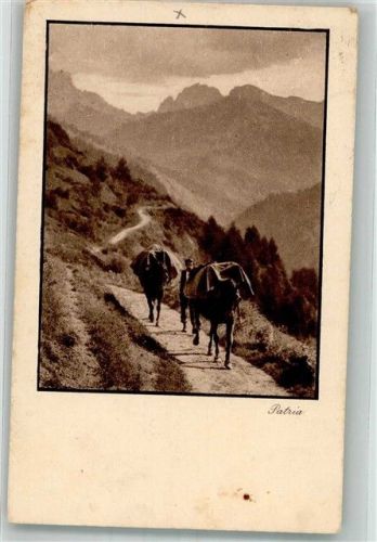 Schiers Säumer Motiv Schweiz 1925