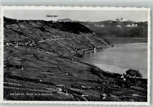 1091 Grandvaux Le Tronchet Foto AK Lac Léman Weinterrassen von Lavaux