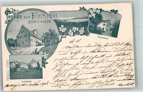 Zürichberg 1898 Foto AK Pension zum Förster Zürichberg