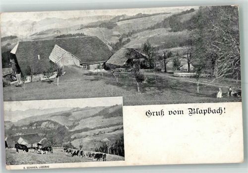 3555 Trubschachen - Ort handschriftlich Grusß vom Blapbach