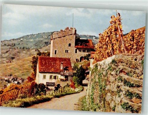 1633 Marsens Foto AK Am Genfer See
