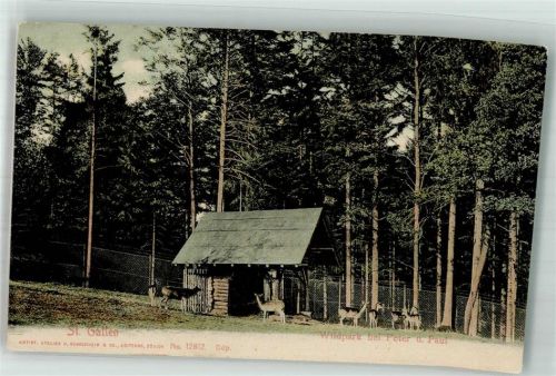 9000 St. Gallen S. Gallo 1906 Foto AK Wildpark bei Peter und Paul