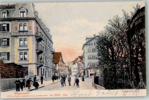 8820 Wädenswil 1904 Foto AK Gasthaus Gartenwirtschaft Bahnpost Zug 142 Nr. 2