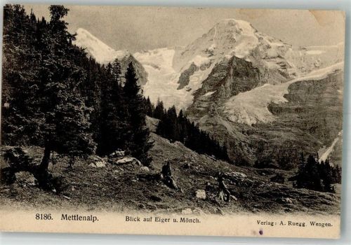Mettlenalp 1912 - Blick auf Eiger und Mönch