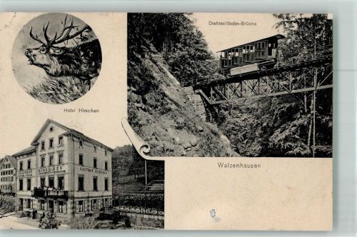 9428 Walzenhausen 1910 Foto AK Draht- Seilbahn Hotel Hirschen