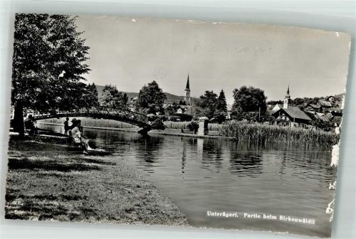 6314 Unterägeri Foto AK Partie beim Birkenwäldli