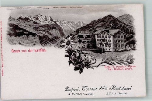 3822 Isenfluh Lithographie Hotel und Pension Alpina