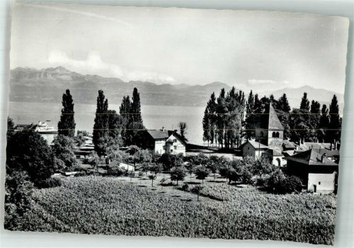 1025 St-Sulpice VD 1965 Foto AK Hotel du Débarcadére