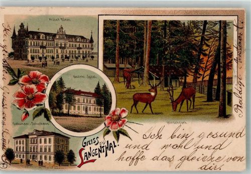 4900 Langenthal 1901 Lithographie Krankenhaus Hotel Bären Schulhaus Hirschgarten
