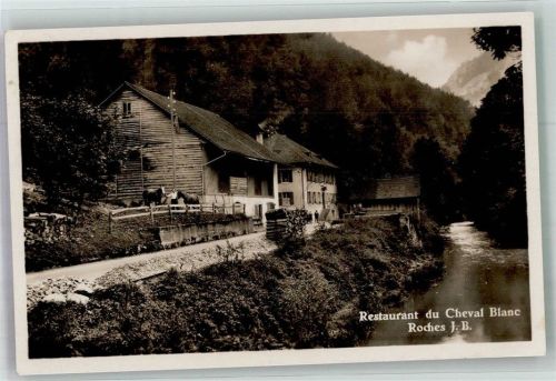 2762 Roches BE 1931 Foto AK Gasthaus du Cheval Blanc