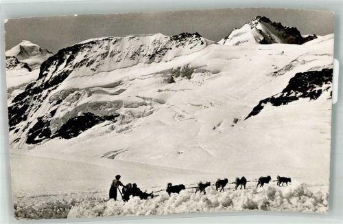 3801 Jungfraujoch 1958 Winter Hundeschlitten Polarhunde