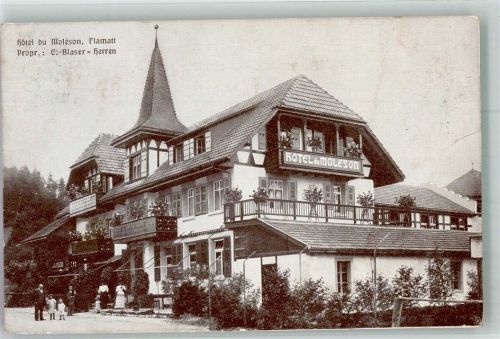 3175 Flamatt 1917 Foto AK Hotel du Moléson