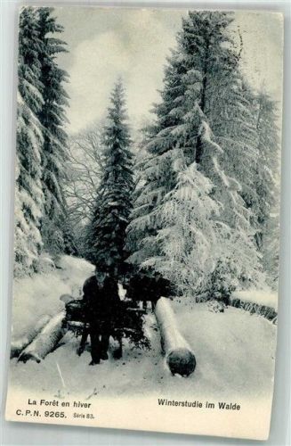 1000 Lausanne Losanna 1905 Winter Winterstudie im Wald Ort lt. Stempel