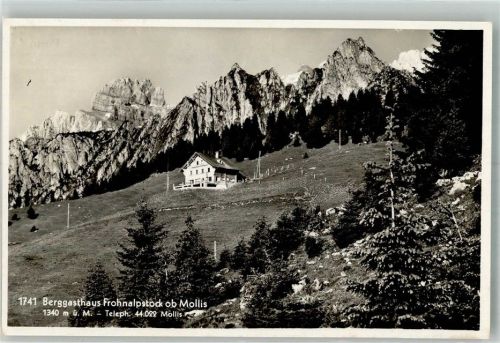 8753 Mollis Foto AK Gasthaus Frohnalpstock