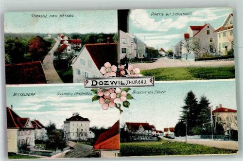 8582 Dozwil 1906 Foto AK Straße nach Kesswil Schulhaus Gasthaus zum Landhaus